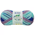 Fio Cisne Curioso 100G Cor 72401