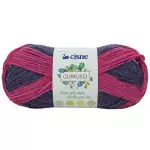 Fio Cisne Curioso 100G Cor 72405