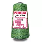 Fio Incomfio Princesa Moda C/500M Cor 3554 - Mescla Verde