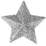 Enf.Art Estrela 7Cm Glitter Zc881 C/4 Cor Prata